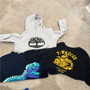 Gray Hoodie and Dinosaur T-Shirts Set